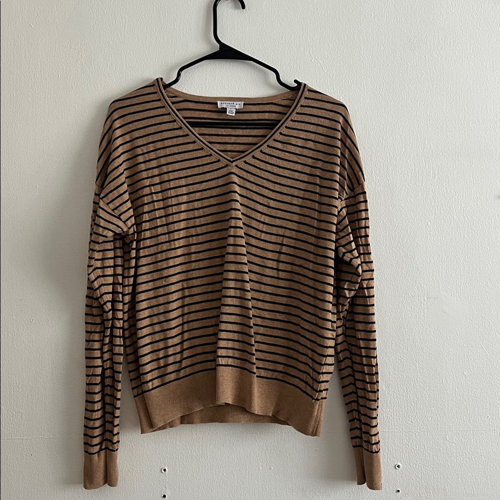 Current Air Brown and Black Striped V-Neck Sweater